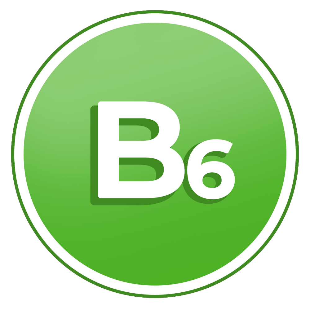 Icon B6