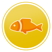 Icon Omega 3 & 6
