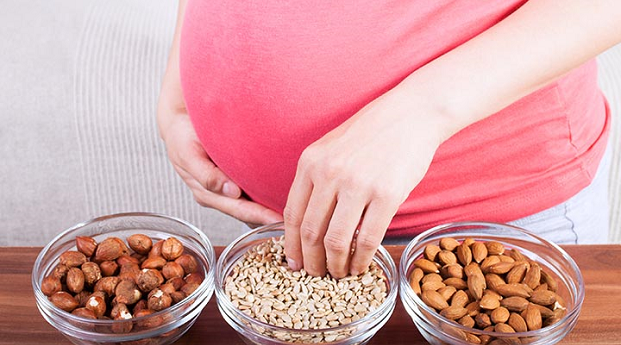 Makanan untuk Anemia yang Sering Terjadi Pada Ibu Hamil