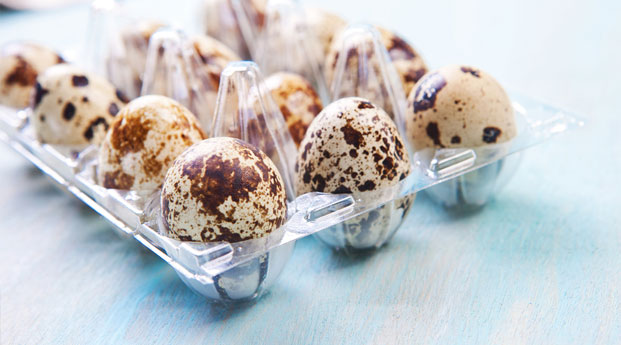 Manfaat Vitamin dalam Telur Puyuh bagi Ibu Hamil