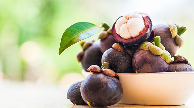 Berbagai Manfaat Manggis untuk Ibu Hamil