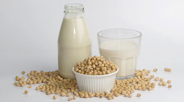 Kandungan dan Manfaat Kedelai bagi Ibu Hamil