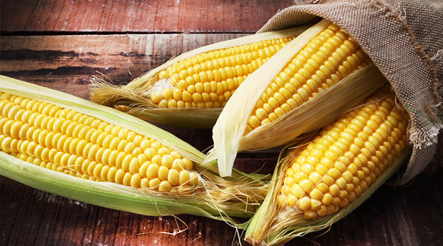 7  Manfaat Jagung Rebus Bagi Ibu Hamil