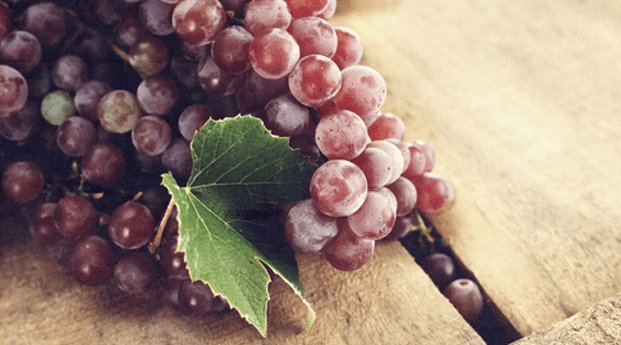 Manfaat Anggur Untuk Ibu Hamil yang Wajib diketahui